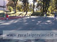 DSCF6378