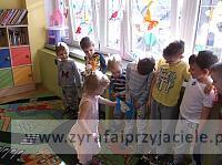 DSCF6389