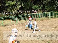 DSCF5085