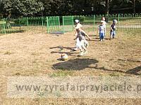 DSCF5089