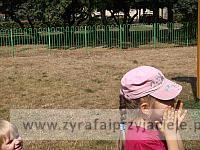 DSCF5097