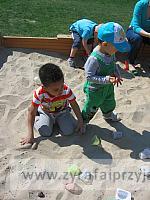 IMG 1231