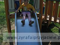 IMG 1241