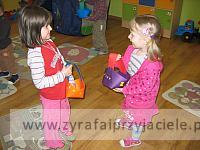 IMG 5241