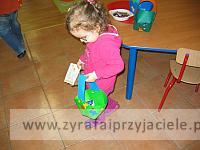 IMG 5249