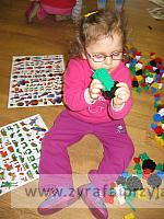 IMG 5301
