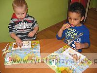IMG 0852