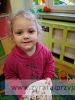 IMG 20190411 094238