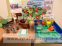 DSCF2462