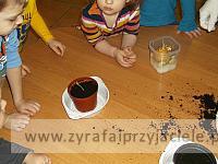 DSCF2492