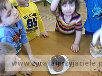 DSCF2493