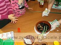 DSCF2496
