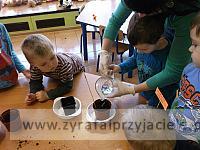 DSCF2518