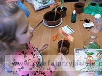 DSCF2526