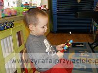 DSCF6537